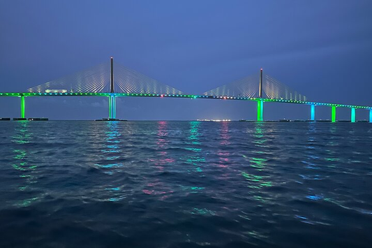 Offshore Fishing in St. Petersburg, FL: Secrets for a Successful Trip