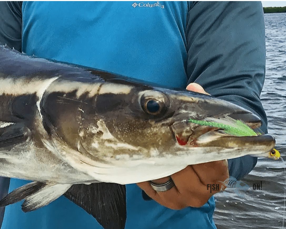Biscayne Bay Fishing Spots GPS numbers