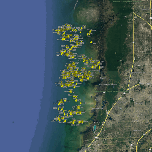 Hudson Fishing Spots - Hernando County Nearshore