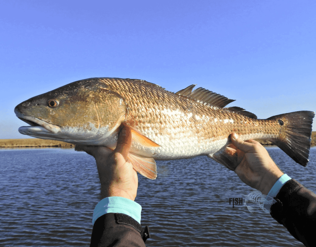 Daytona Beach Fishing Spots - Coastal Near Shore - GPS Fishing Numbers