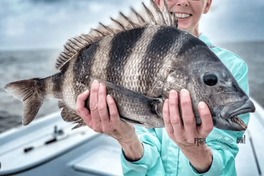 Biscayne Bay Fishing Spots GPS numbers