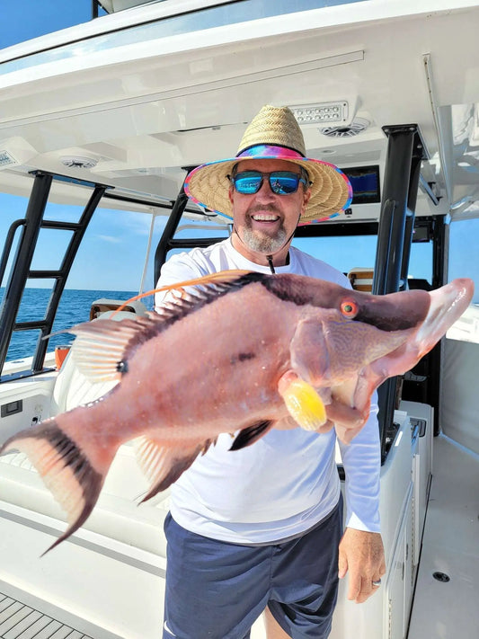 St. Petersburg Hogfish Secrets: GPS Coordinates for the Gulf's Tastiest Prize Fish On