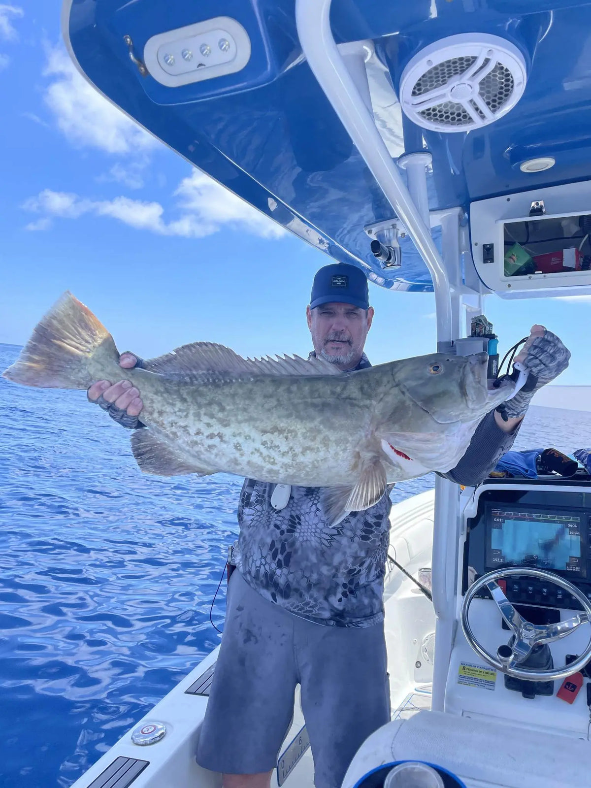 Fall Gag Grouper and Hogfish Share the Same Ledges (And How to Find Them)