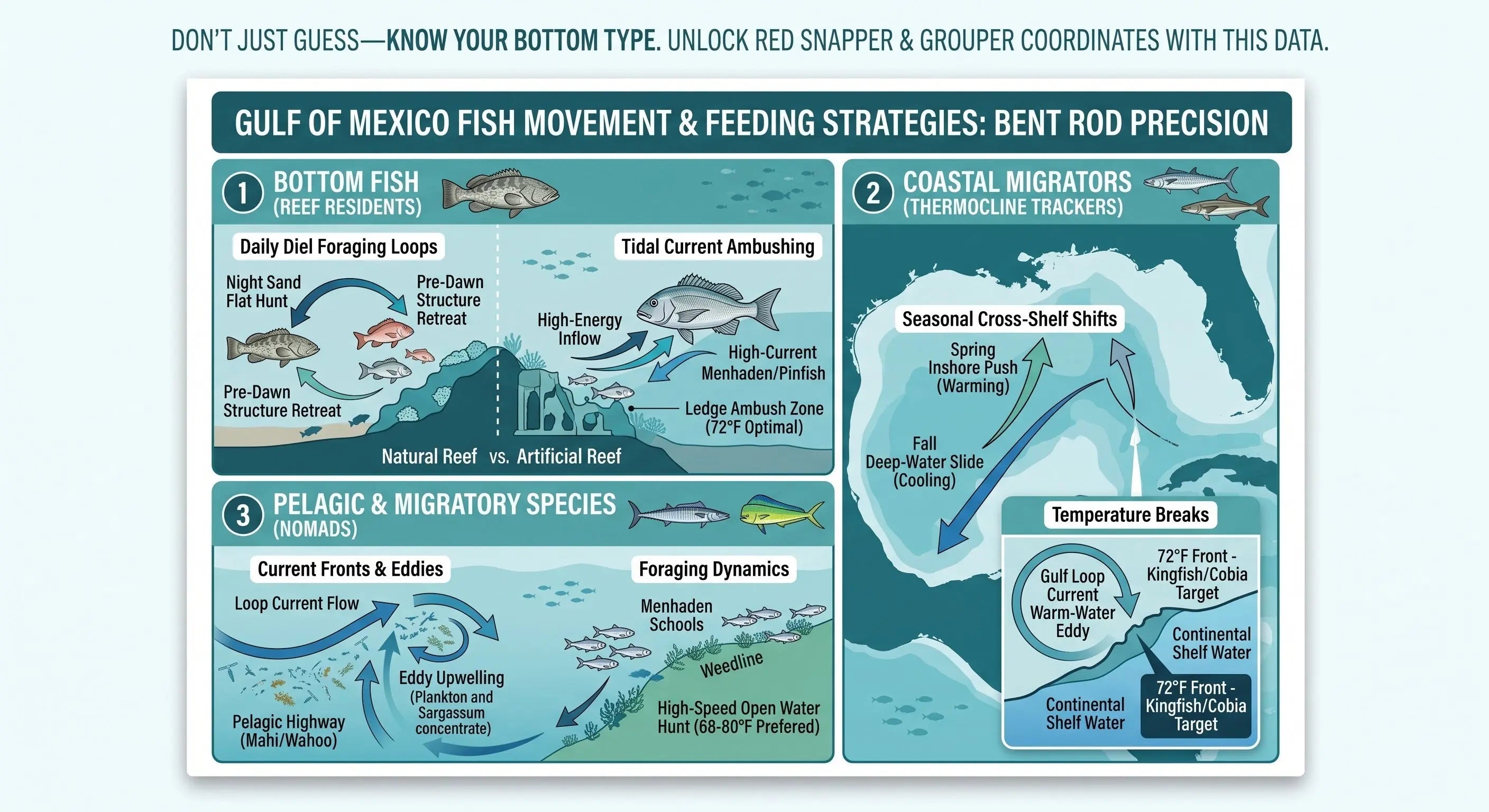 The Science of the Hunt: Understanding Gulf of Mexico Reef Fish & Pelagic Movement Patterns