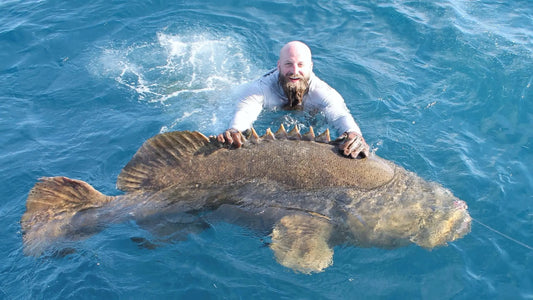 Giants of Tampa Bay: Unraveling the Biggest Catches Near Tampa, FL Fish On