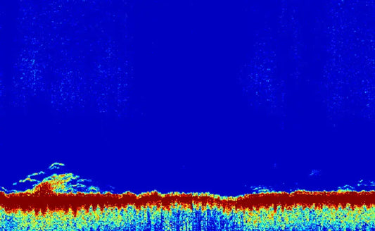 How to Spot Hard Bottom on Your Sonar Fish On