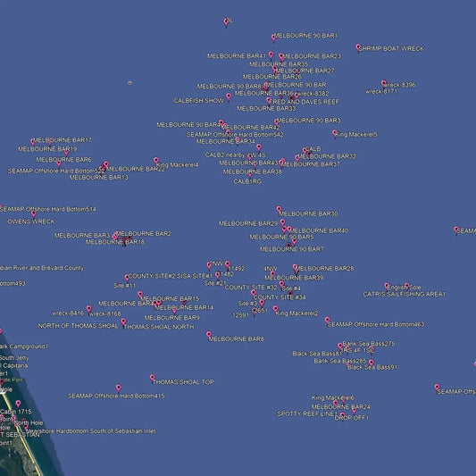 Live Bait Guide for Sebastian Inlet Fishing Success