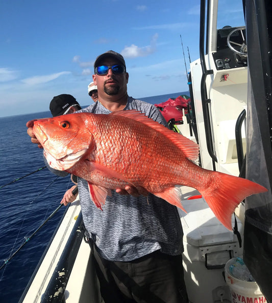Gulf of Mexico Fishing Regulations: A 2024 Update for Anglers Fish On