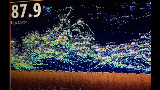 Clearwater Offshore Fishing: High-Yield GPS Coordinates for Deep Water Success