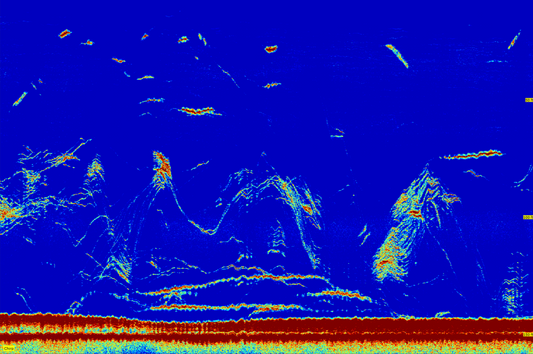 Unleashing the Frenzy: Decoding Sonar and Triggering Red Snapper Mania