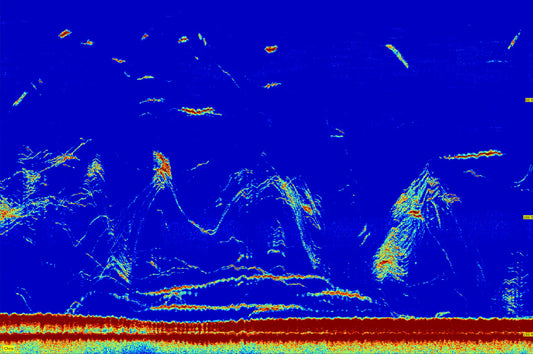 Decoding Sonar - Unleashing the Frenzy and Triggering Red Snapper Mania Fish On