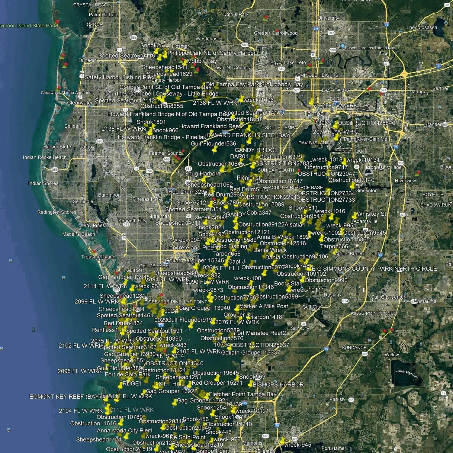 Master Tampa Bay Fishing: The Ultimate GPS Coordinates for Inshore and Bay Anglers Fish On