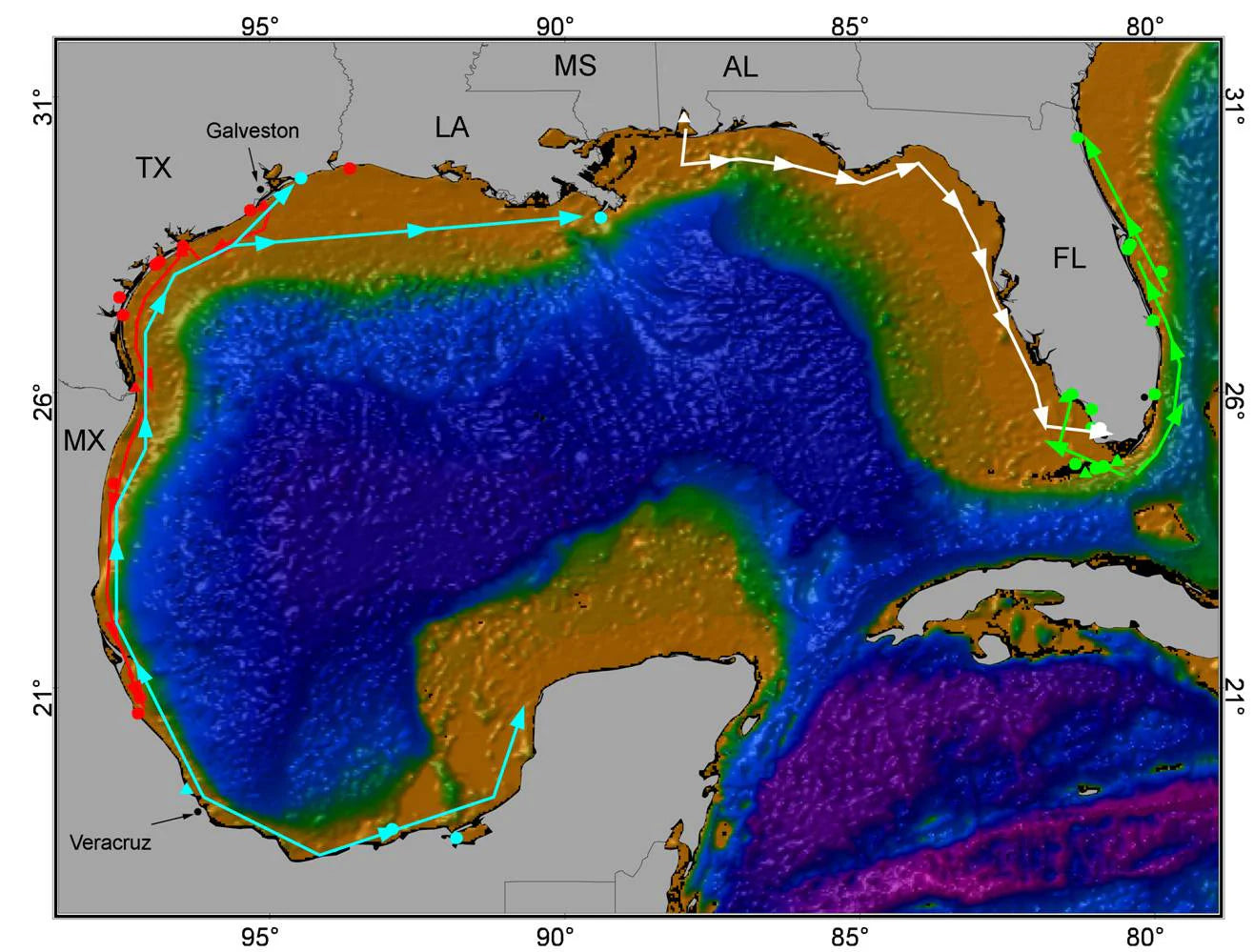 Decoding the Depths: Gulf of Mexico Reef Fish Migration Patterns