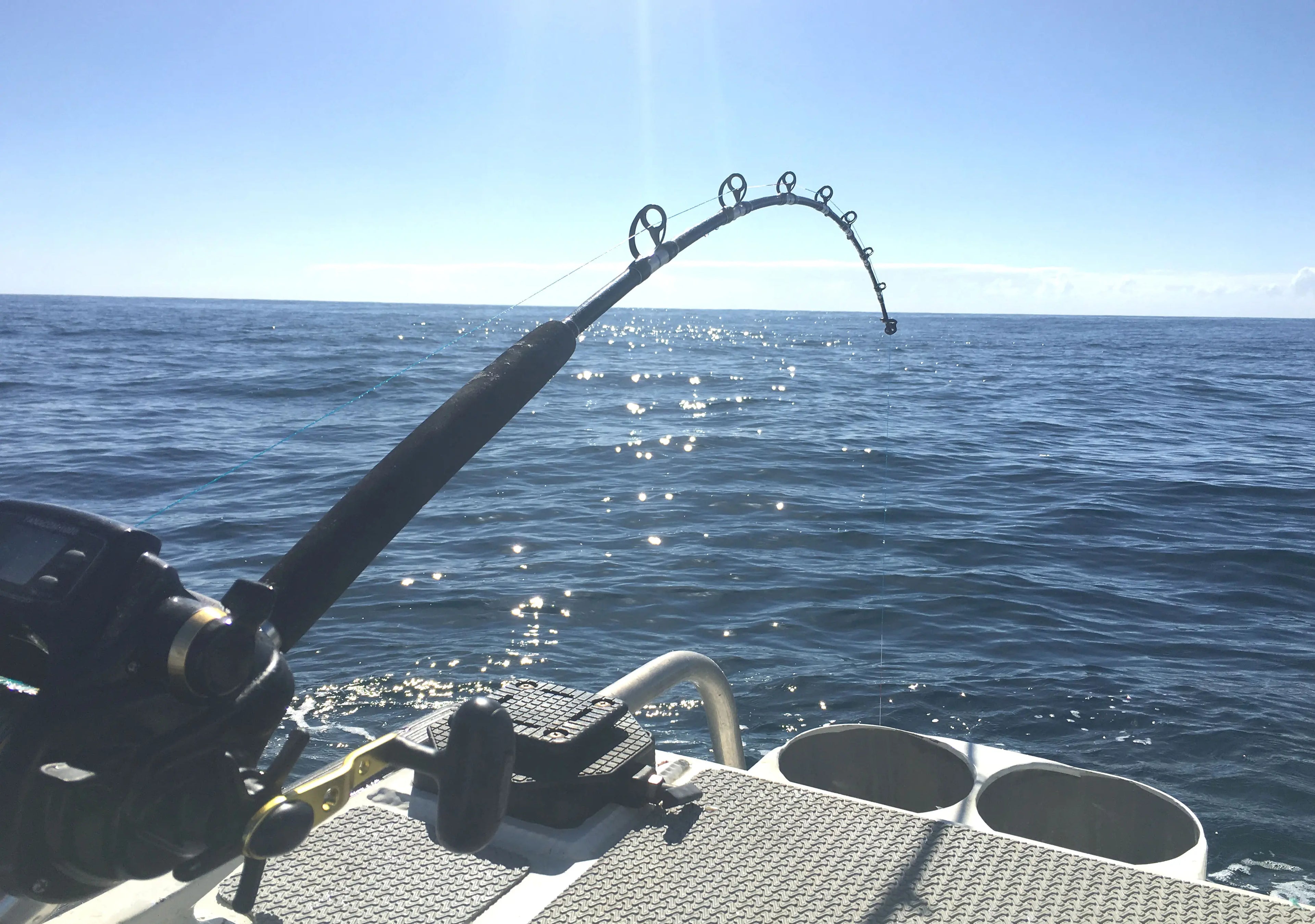 Crystal River Offshore Fishing Secrets: Elite GPS Coordinates for Citrus County Anglers
