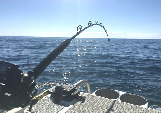 Crystal River Offshore Fishing Secrets: Elite GPS Coordinates for Citrus County Anglers