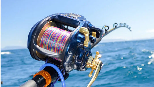 Extreme Deep Dropping Out of Tampa Bay: Exploring Boulders, Springs, and Blue Holes