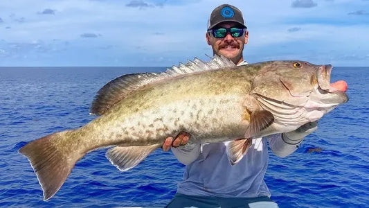 Tampa Bay Grouper Fishing: Pro Tactics for Blind Dropping Vetted GPS Coordinates