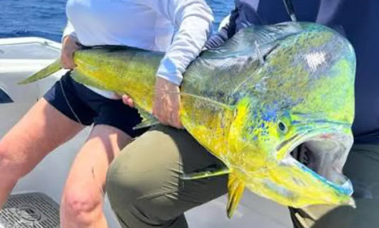 Conquering the Key West Blue Water: Trolling and Deep Dropping the Gulf Stream