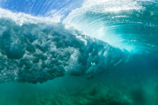 The Shifting Seafloor: How Hurricanes Create New Fishing Hotspots Fish On