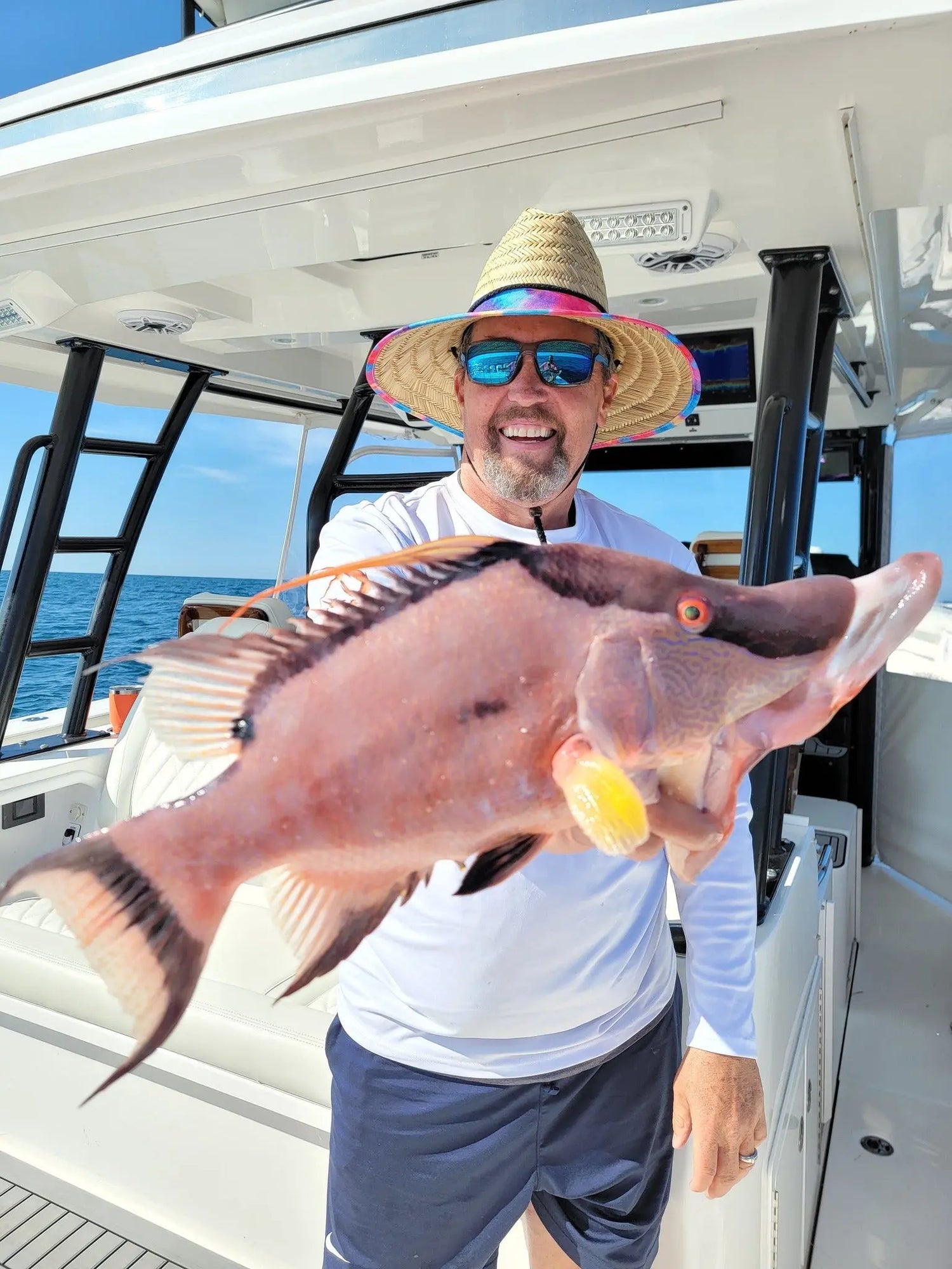 Hogfish Fishing Spots Fish On