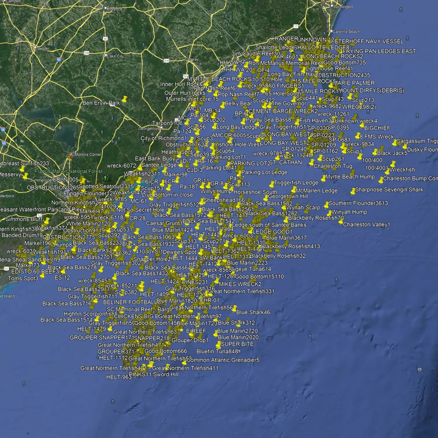 South Carolina Fishing Spots for Every Angler – Fish On