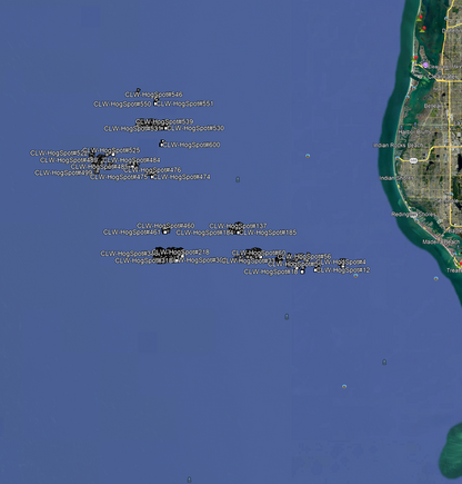 Clearwater Hogfish Fishing Spots - GPS Numbers