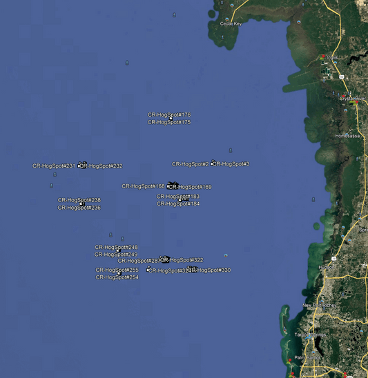 Crystal River Hogfish Fishing Spots - GPS Numbers