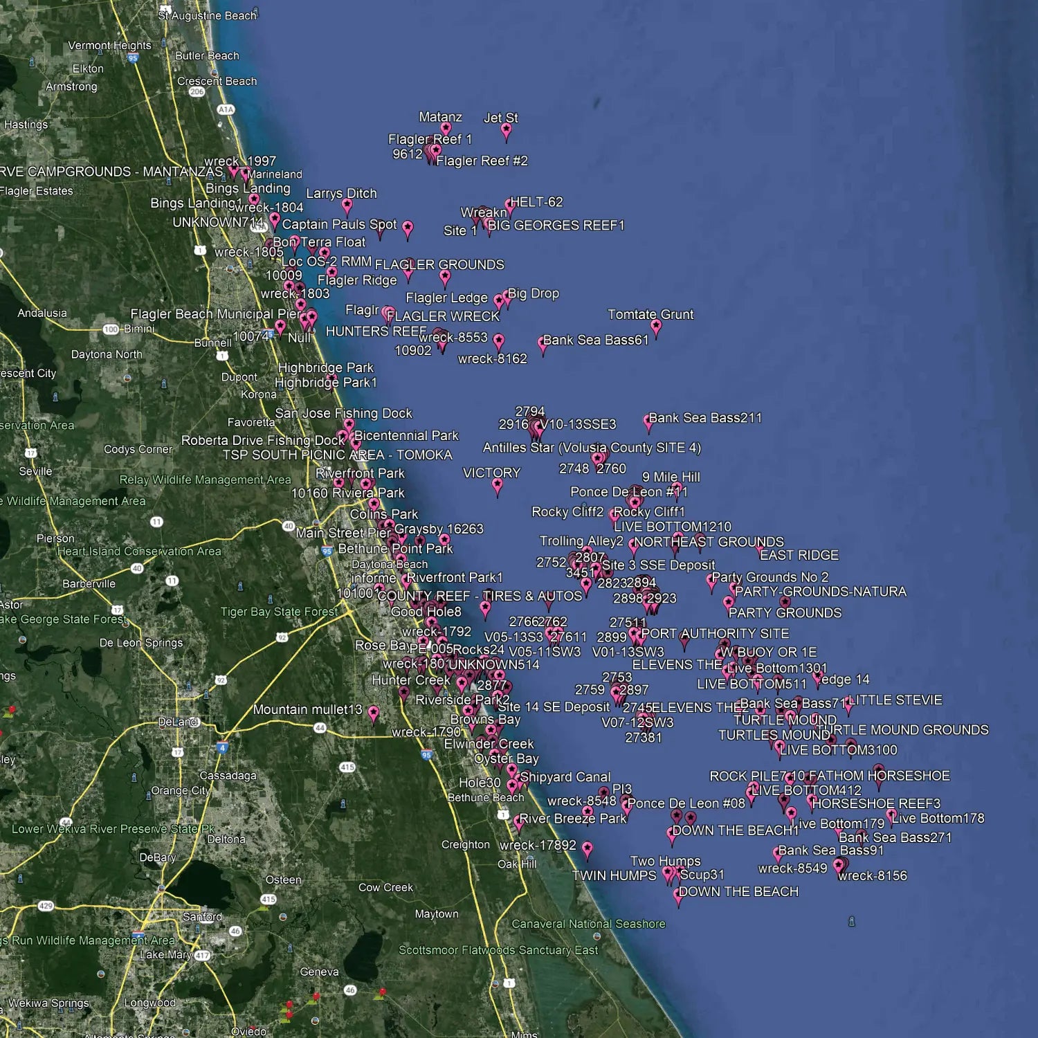 Explore Daytona Beach Fishing Spots - Find Your Perfect Catch – Fish On