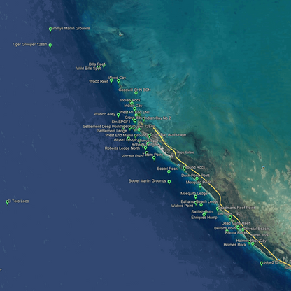 Freeport Bahamas Fishing Spots - Numbers