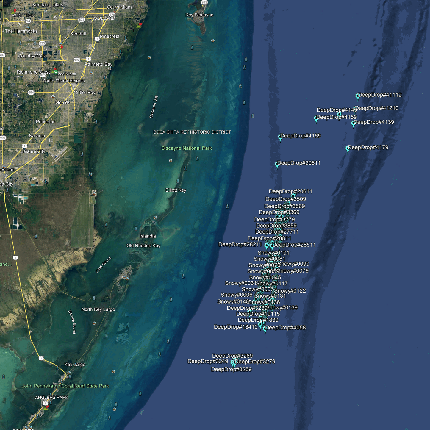 Homestead & Florida City Deep Drop Fishing Spots - Offshore Numbers