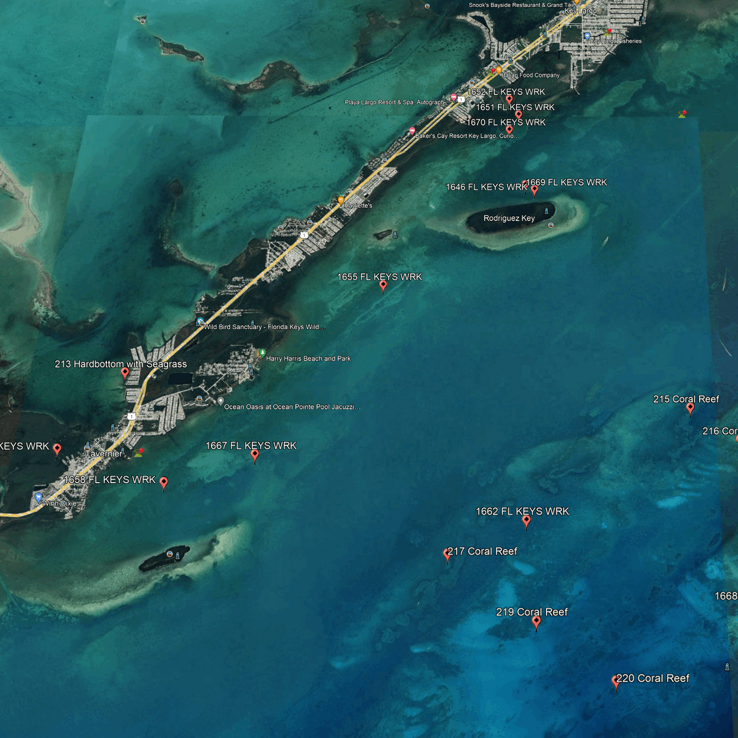 Islamorada Lobster Spots - Lobster Numbers