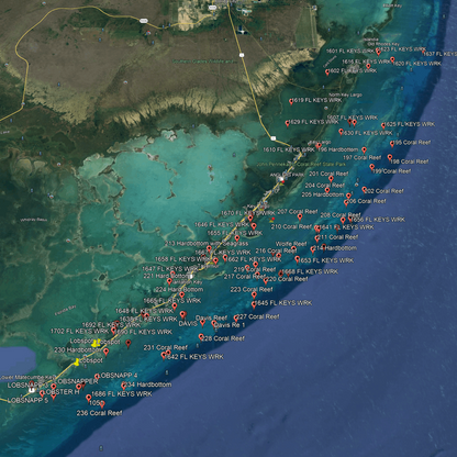 Islamorada Lobster Spots - Lobster Numbers