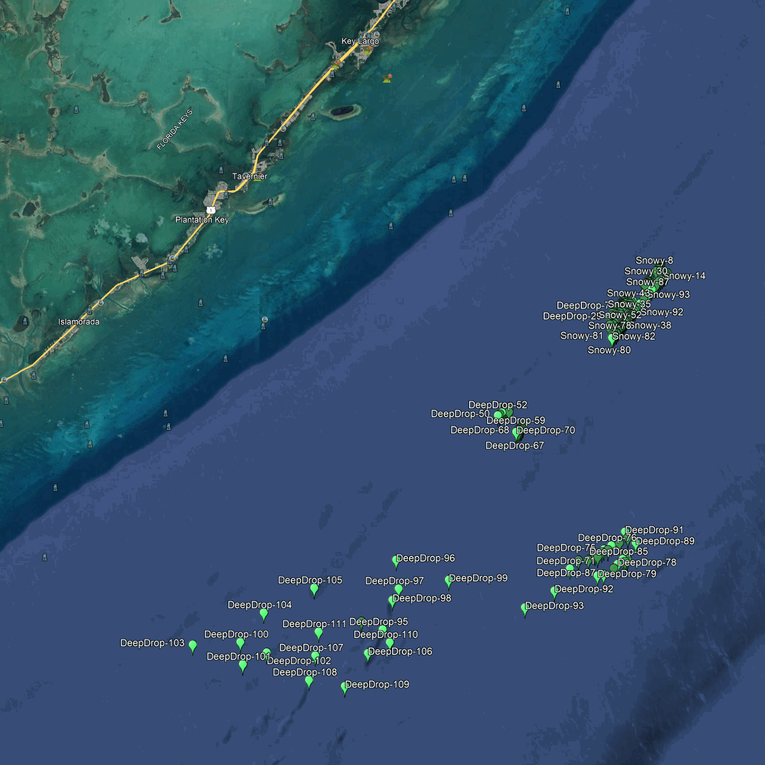 Islamorada Deep Drop Fishing Spots - Offshore Numbers