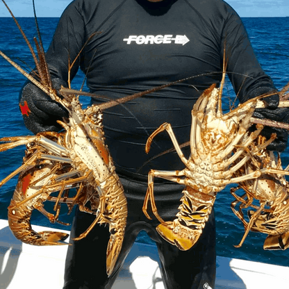 Islamorada Lobster Spots - Lobster Numbers