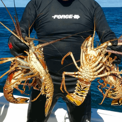 Islamorada Lobster Spots - Lobster Numbers