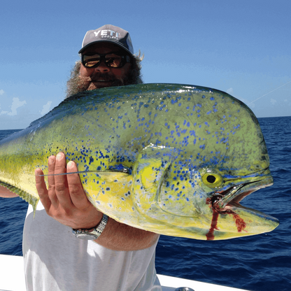 Outer Banks Fishing Spots North - Offshore