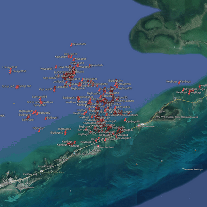 Middle Keys Lobster Spots - Lobster Numbers