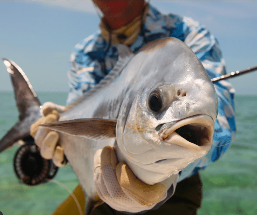 Dry Tortugas Fishing Spots - GPX Fishing Numbers