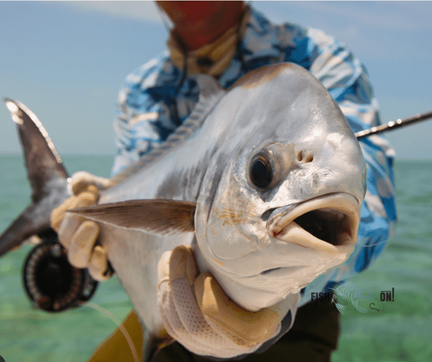 Dry Tortugas Fishing Spots - GPX Fishing Numbers