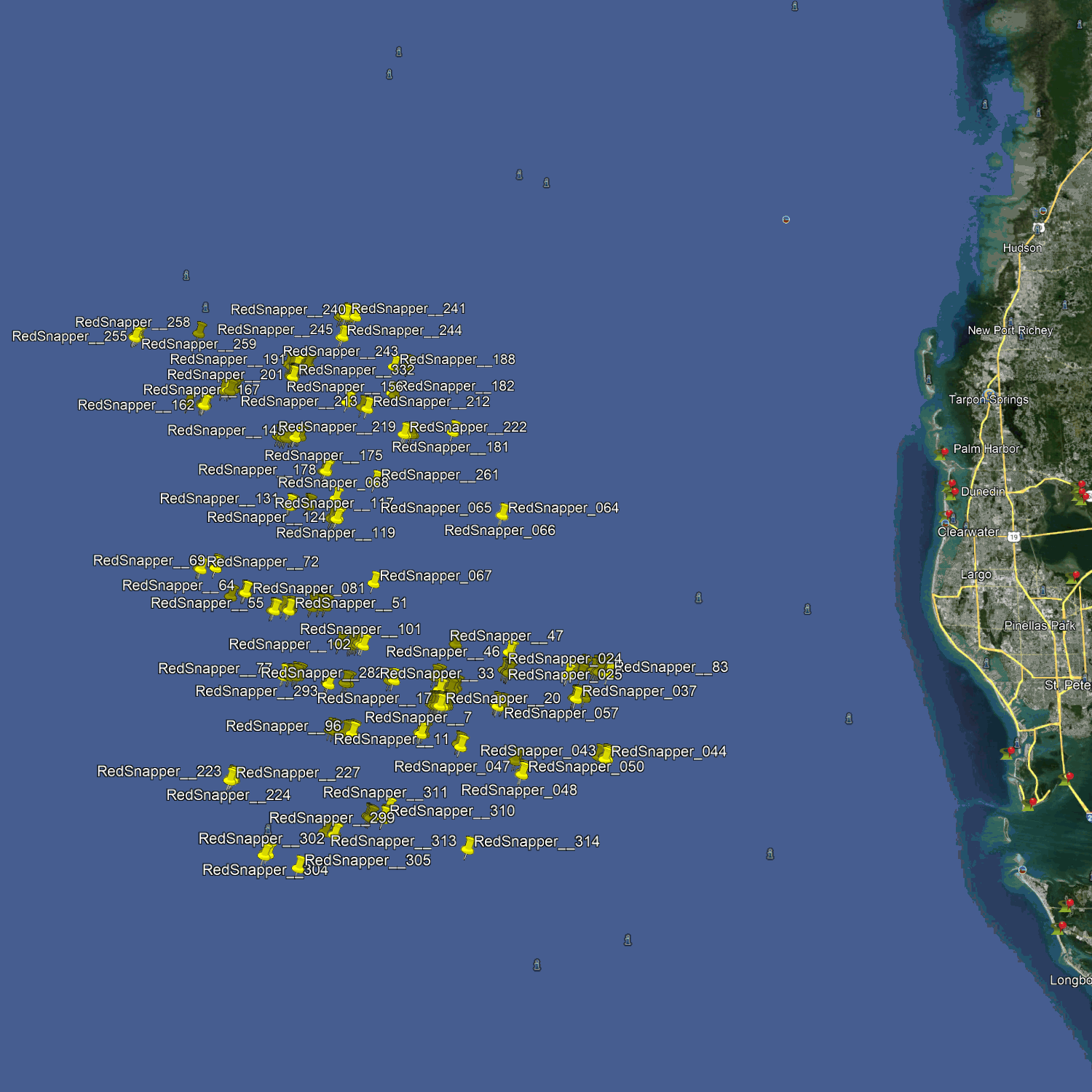 Pinellas Red Snapper Fishing Spots