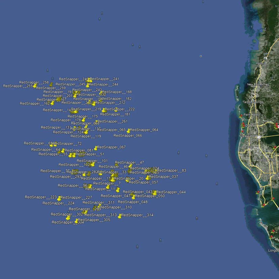 Top American Red Snapper Fishing Spots for Anglers – Fish On