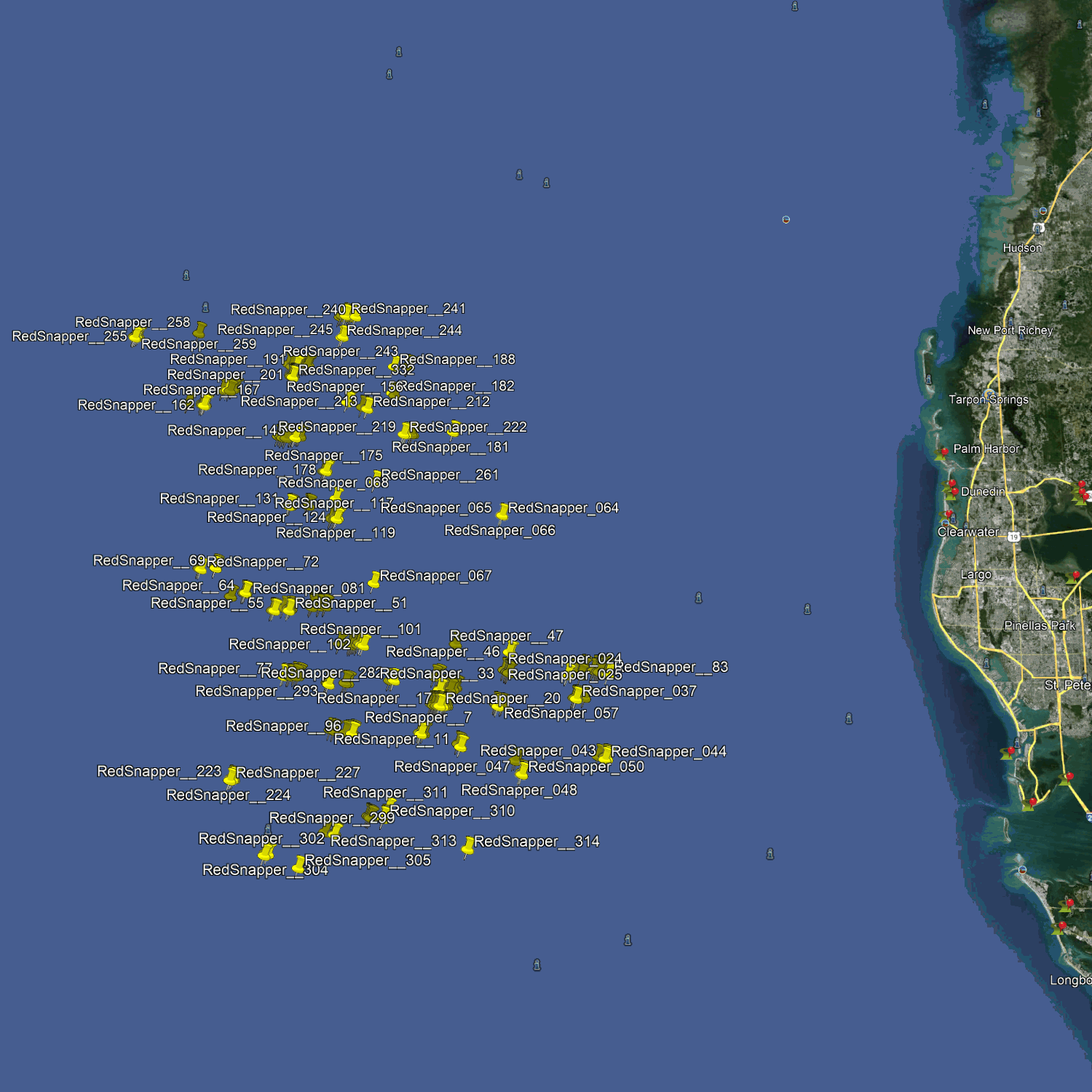 Pinellas Red Snapper Fishing Spots