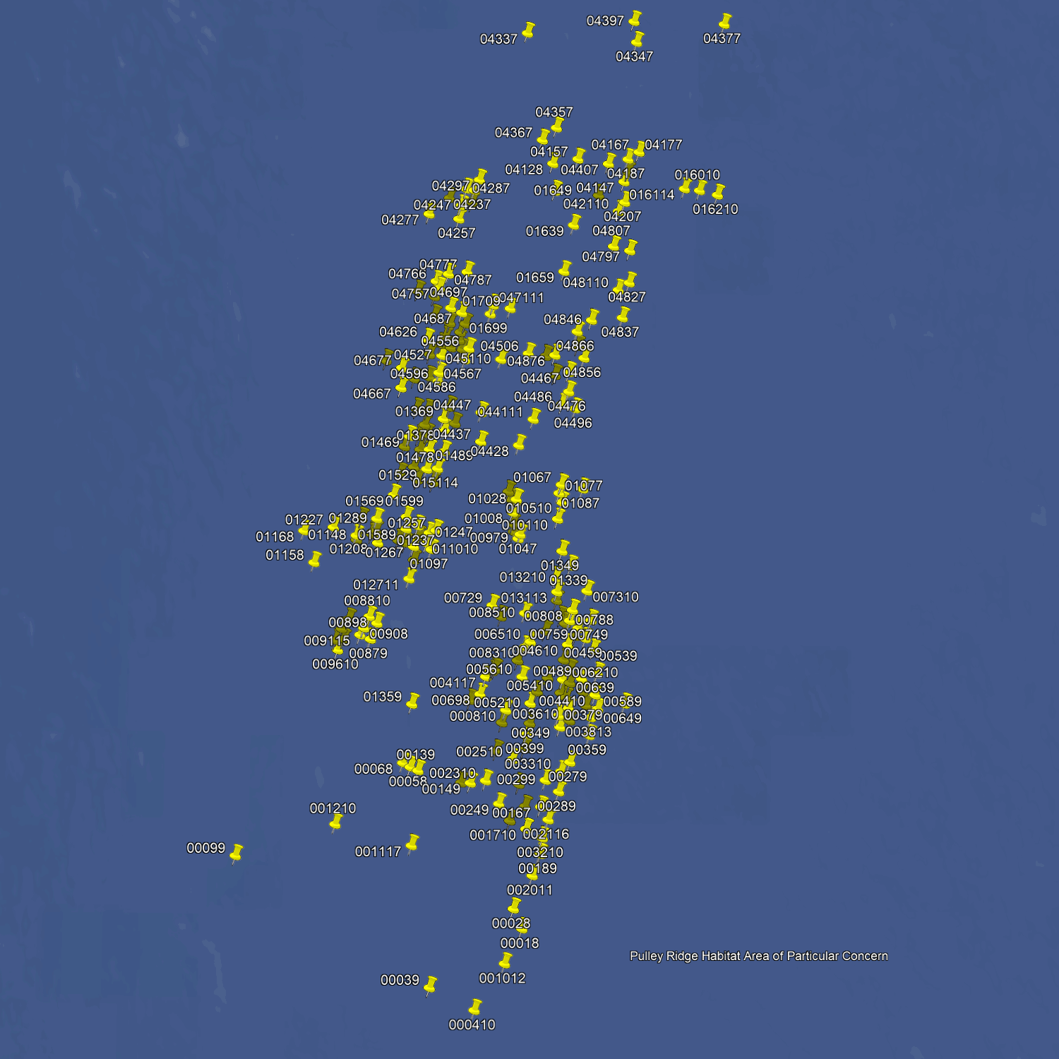 Pulley Ridge Fishing Spots - Deep Water Offshore - GPS Numbers