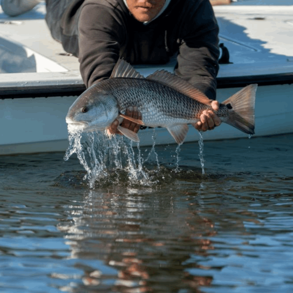 Matagorda Bay Coastal Fishing Spots - GPS Fishing Numbers