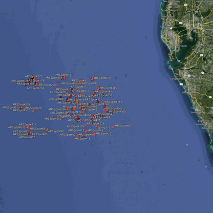 Sarasota & Venice Fishing Spots - Red Snapper Offshore