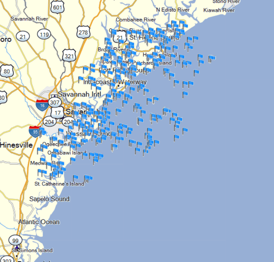 Savannah Fishing Spots - Coast Nearshore - GPS Fishing Numbers