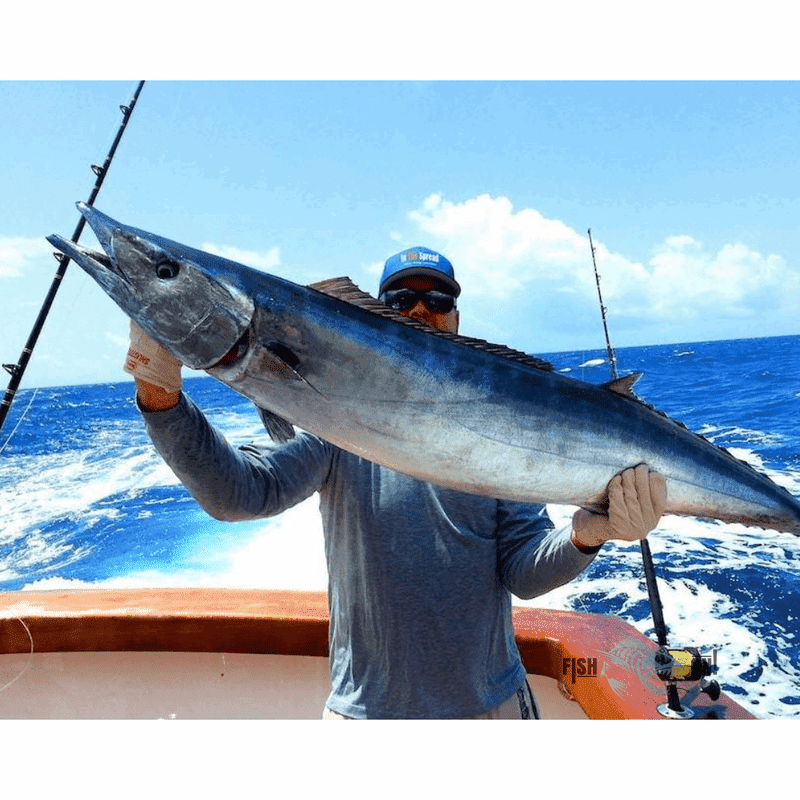 Cape Coral & Naples Fishing Spots - Offshore GPX Fishing Numbers