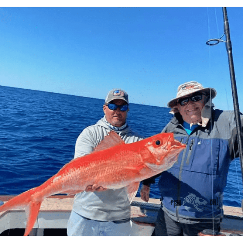Cape Coral & Naples Fishing Spots - Offshore GPX Fishing Numbers