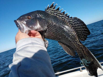 Outer Banks Fishing Spots - North - Coastal & Nearshore - GPS Fishing Numbers