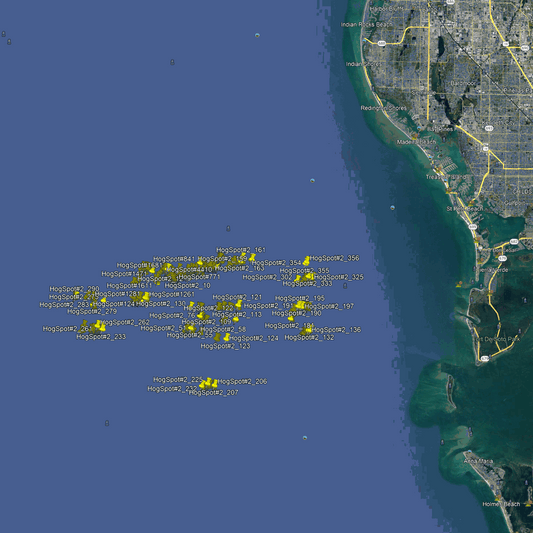 St Petersburg Hogfish Fishing Spots